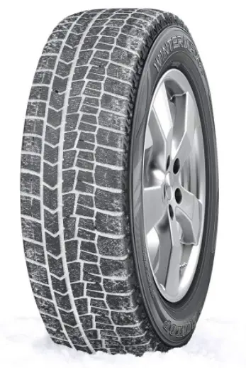 Dunlop winter maxx 2 